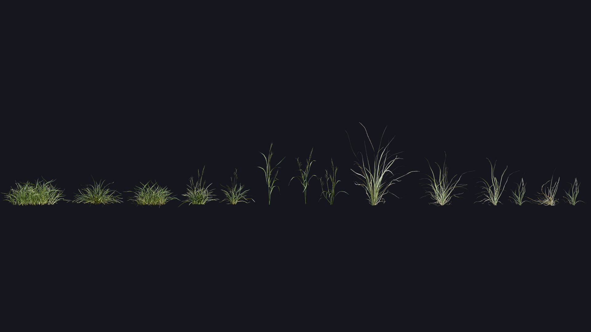 Grass preview